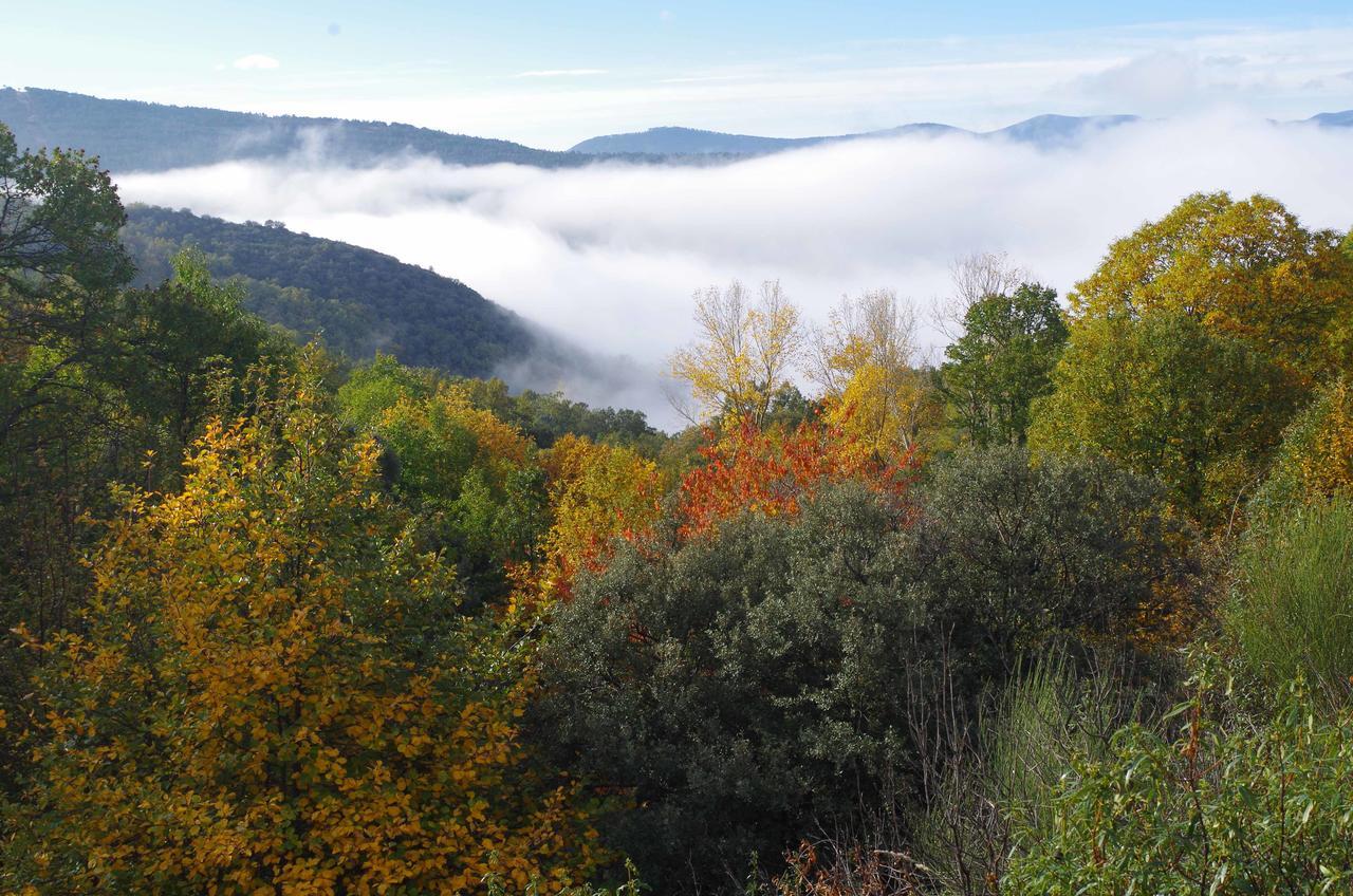 Apartamentos Sierra De Francia Monsagro ภายนอก รูปภาพ